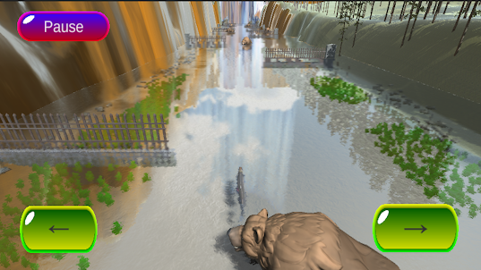 Salmon Run