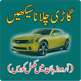 Learn Driving in Urdu icon