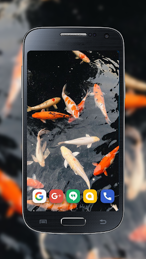 Koi Real Wallpaper Screen 2