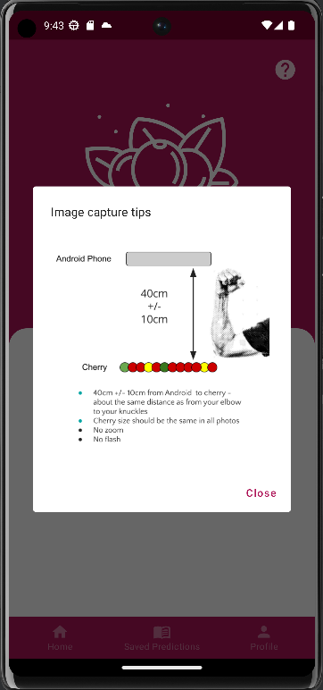 Cherie - Coffee Cherry Quality Screen 2