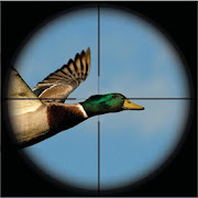 Duck Hunting Unlimited 3D
