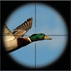 Duck Hunting Unlimited 3D 1.0