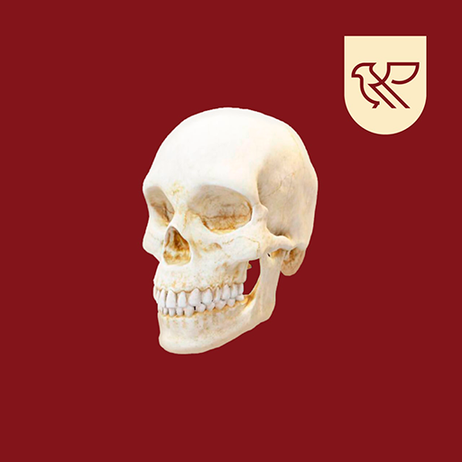 Carpal | Mcnamara logo