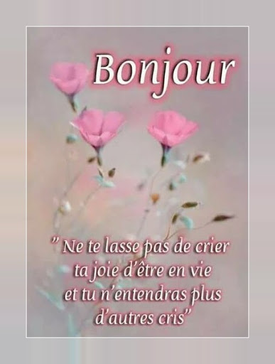 Bonjour Images screenshot 10