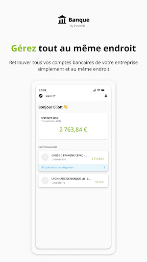 Banque by Inexweb Screen 3