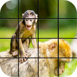 Animals Puzzle Games icon