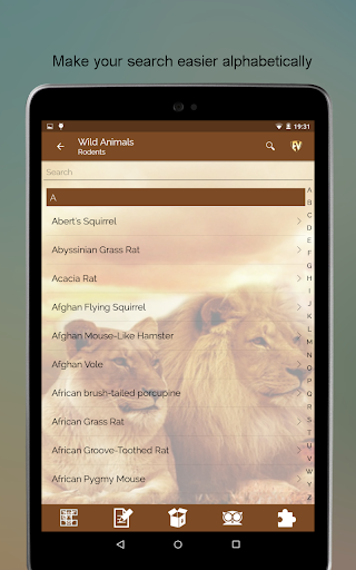 Screenshot of Wild Animals
