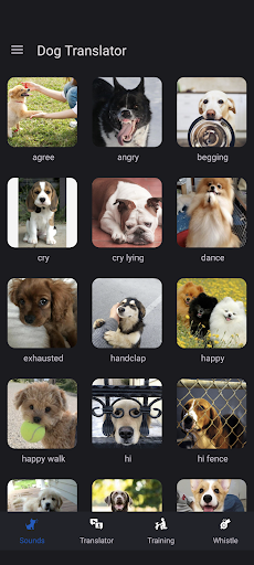Dog Translator Screen 2