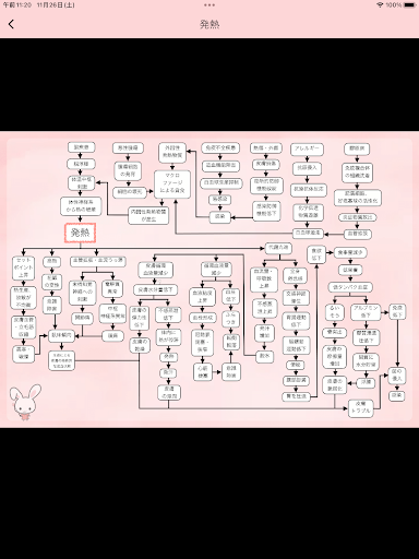 らくらく関連図・看護計画 Screenshot
