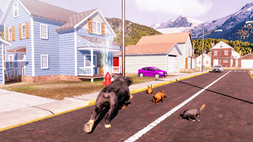 Rottweiler Dog Simulator