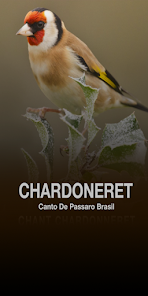 Captura 1 Chant Chardonneret android