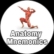 Anatomy Mnemonics