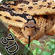 Angry Anaconda Snake Attack Simulator 2K18
