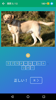 犬のクイズ：品種を推測—ゲーム、写真、テストのおすすめ画像2