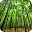 Jungle Photo Frame Download on Windows