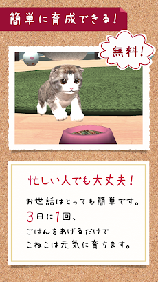 猫の癒し育成ゲーム3D＊無料＊のおすすめ画像3