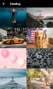 WallyFy  4k Wallpapers For Pc – Download Free For Windows 10, 7, 8 And Mac 2