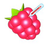 Cover Image of Download RasPi Check 1.8.2 APK