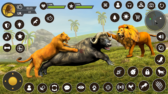 獅子遊戲3d野生動物遊戲