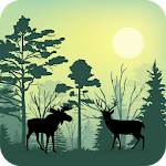 Cover Image of Download Forest Animals Simulator  APK