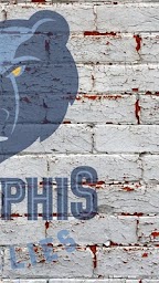 Wallpapers for Memphis Grizzlies