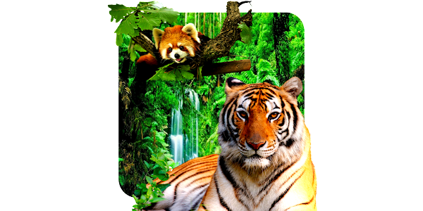 Jogos animais-3D jogos tigres – Apps no Google Play