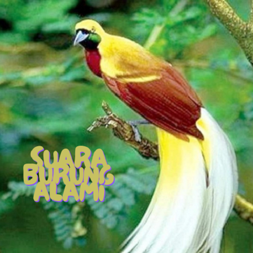 Suara Burung Offline Lengkap Download on Windows