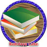 Budidaya Menanam Cabe icon