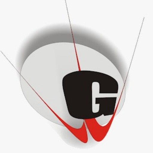 GD GOENKA, Patna logo