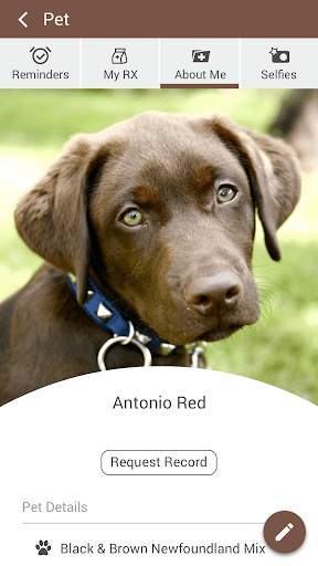 Animal Infirmary of Hoboken