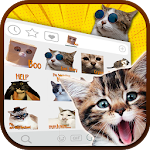 Cover Image of Herunterladen Weird Cats Emoji Stickers 1.0 APK