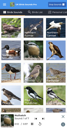 Android application UK Birds Sounds Pro screenshort