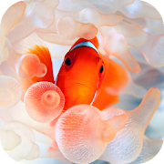 Top 36 Personalization Apps Like Clownfish Video Live Wallpaper - Best Alternatives