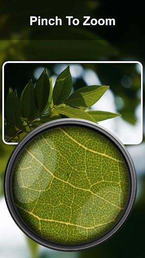 Microscope Magnifier Camera