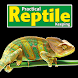 Practical Reptile Keeping Maga