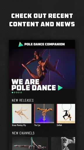 Pole Dance Companion Screen 2