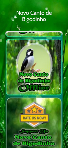 Novo Canto de Bigodinho Screen 3