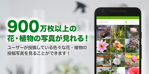 Download Greensnap 植物 花の名前が判る写真共有アプリ Free For Android Greensnap 植物 花の 名前が判る写真共有アプリ Apk Download Steprimo Com