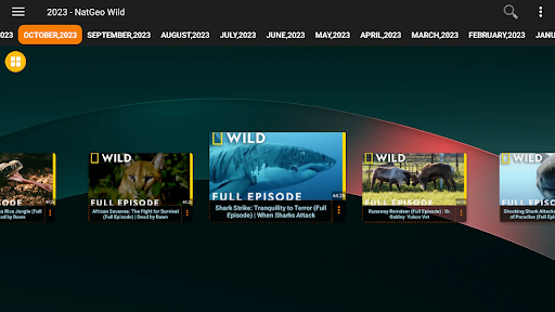 Screenshot 13