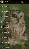 screenshot of Owl Sounds