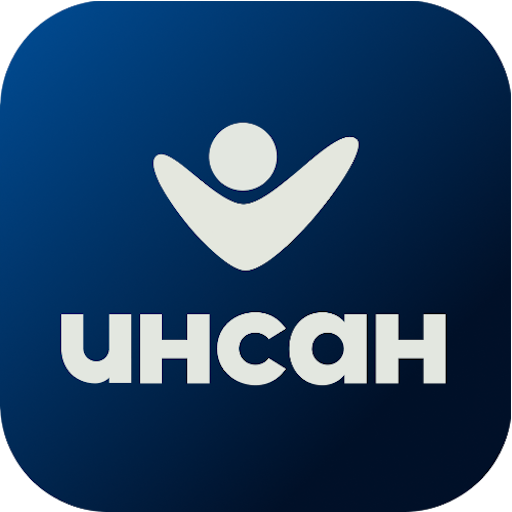 Инсан logo