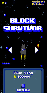 Block Survivor - Arcade Retro