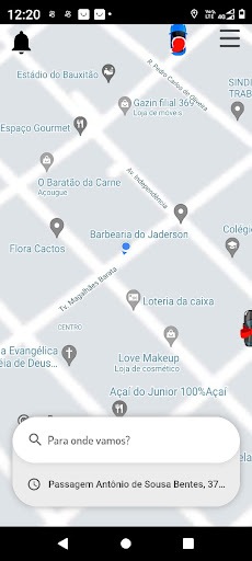 Vip 10 Passageiro Screen 2