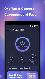 Penguin VPN 1