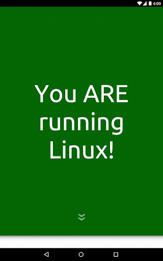 Am I Running Linux? Screen 3