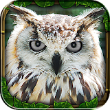 Prank Owl Simulator icon