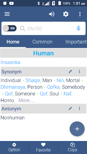 English To Somali Dictionary Screen 3