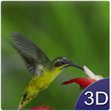 Flying Birds 3D icon