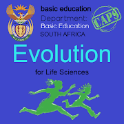 Grade 12 Evolution | Life Science