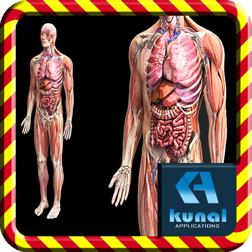 Human Anatomy logo